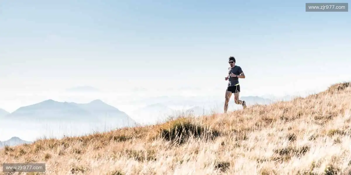 一键直击全球赛事，精彩从不缺席！🏀
